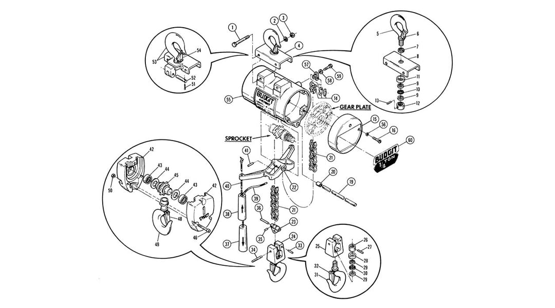 Budgit Hoist | American Crane
